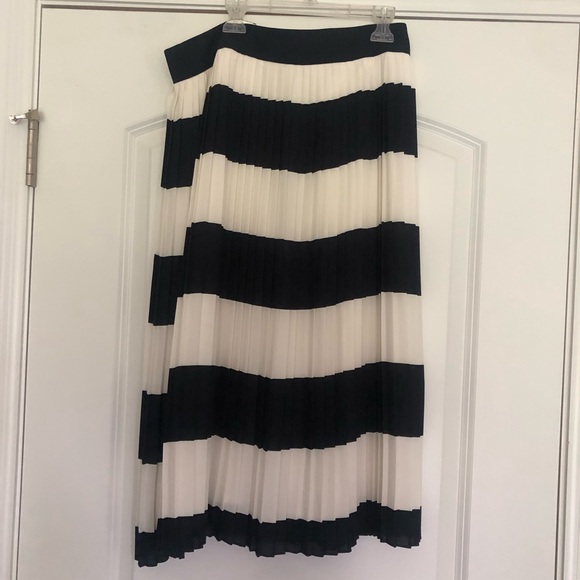 J Crew Factory Navy and Ivory Pleated Skirt - Picture 6 of 10